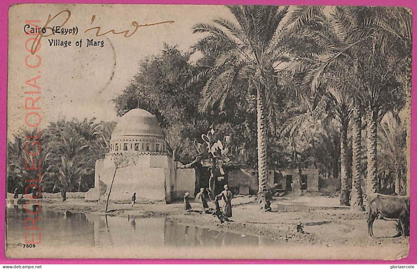 Ag3031 - EGYPT - VINTAGE POSTCARD - Cairo - 1905 - Kairo