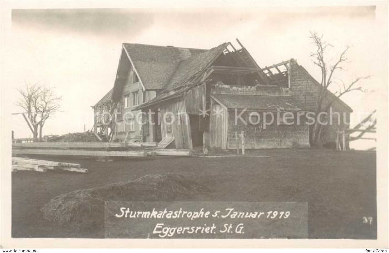 13797423 Eggersriet SG Sturmkatastrophe Januar 1919  - Sonstige & Ohne Zuordnung