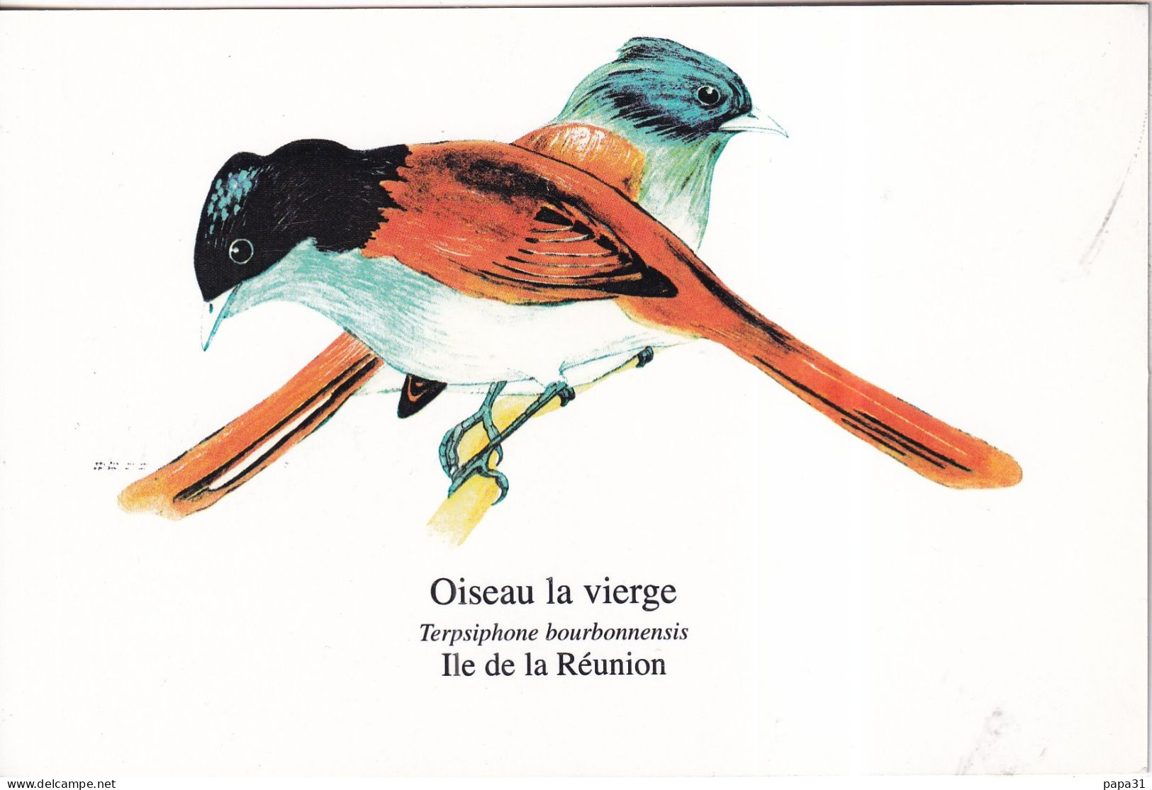 ILE De La REUNION -  Oiseau La Vierge  (Gobe Mouche Du Paradis) - Otros & Sin Clasificación