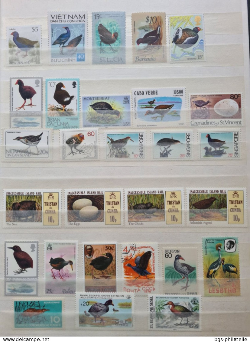 Collection De Timbres Sur Le Thème Des Oiseaux. - Verzamelingen (zonder Album)