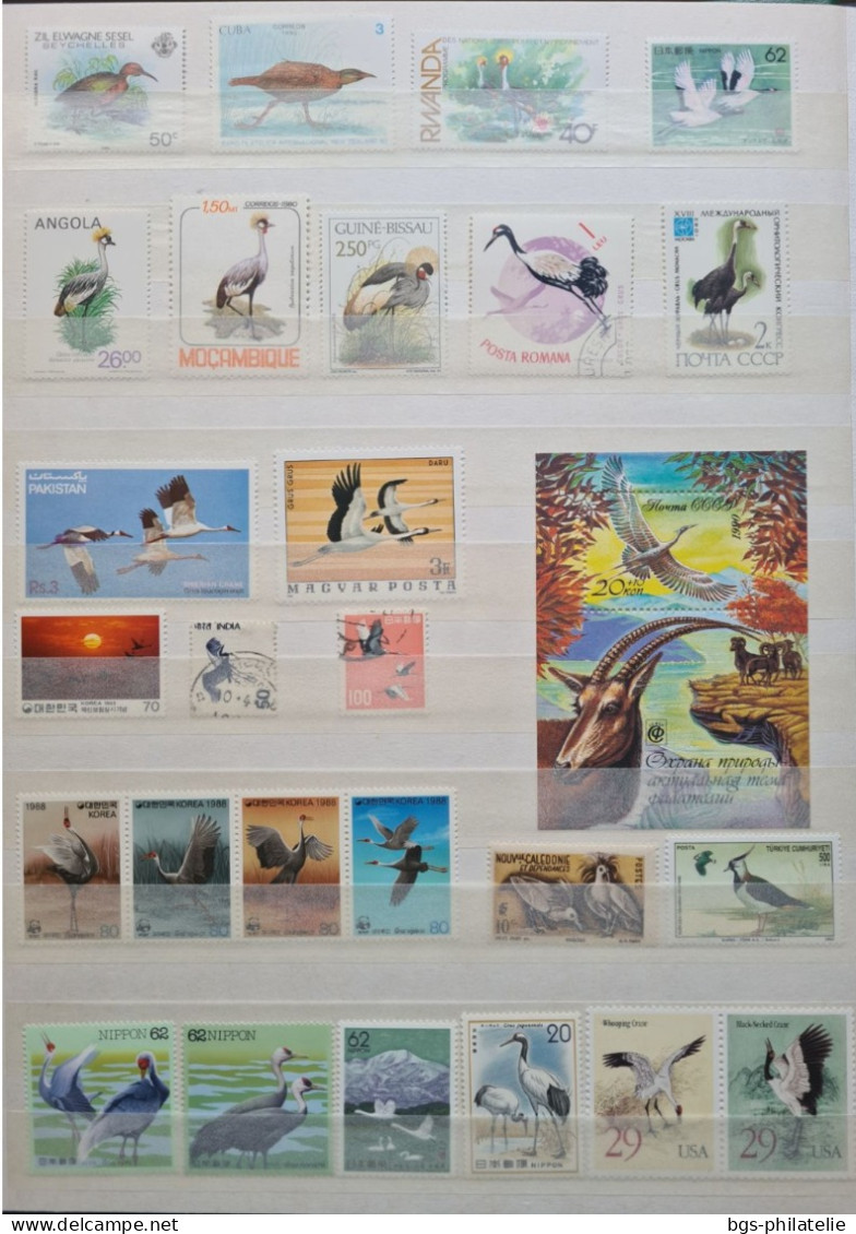 Collection De Timbres Sur Le Thème Des Oiseaux. - Collezioni (senza Album)