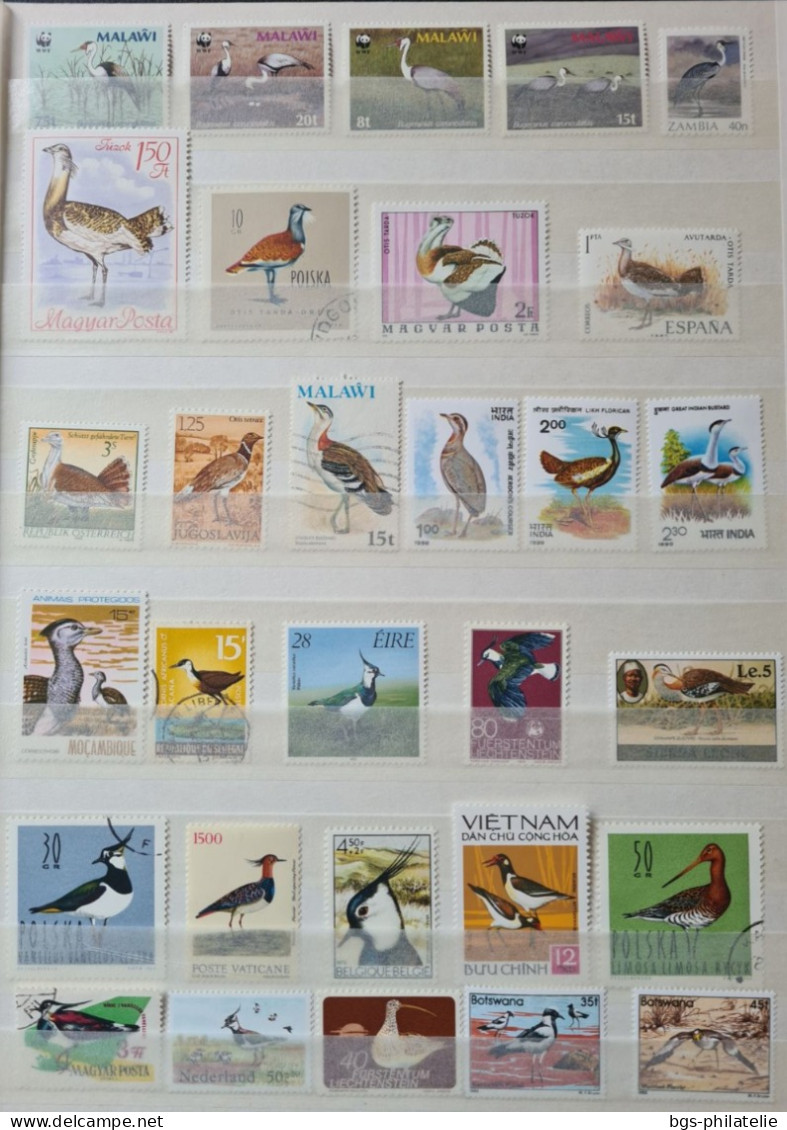 Collection De Timbres Sur Le Thème Des Oiseaux. - Collections (without Album)