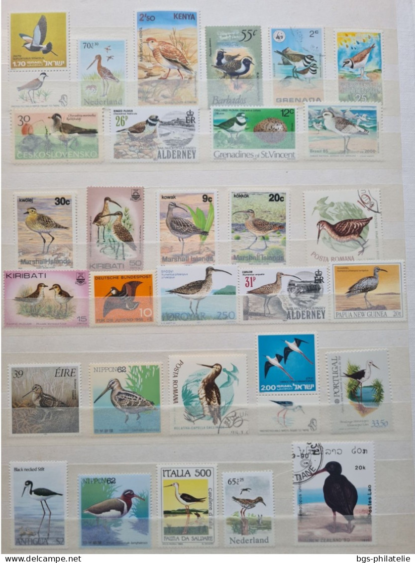 Collection De Timbres Sur Le Thème Des Oiseaux. - Collezioni (senza Album)