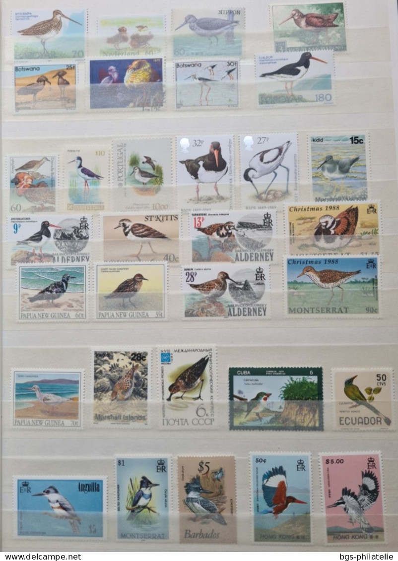 Collection De Timbres Sur Le Thème Des Oiseaux. - Colecciones (sin álbumes)