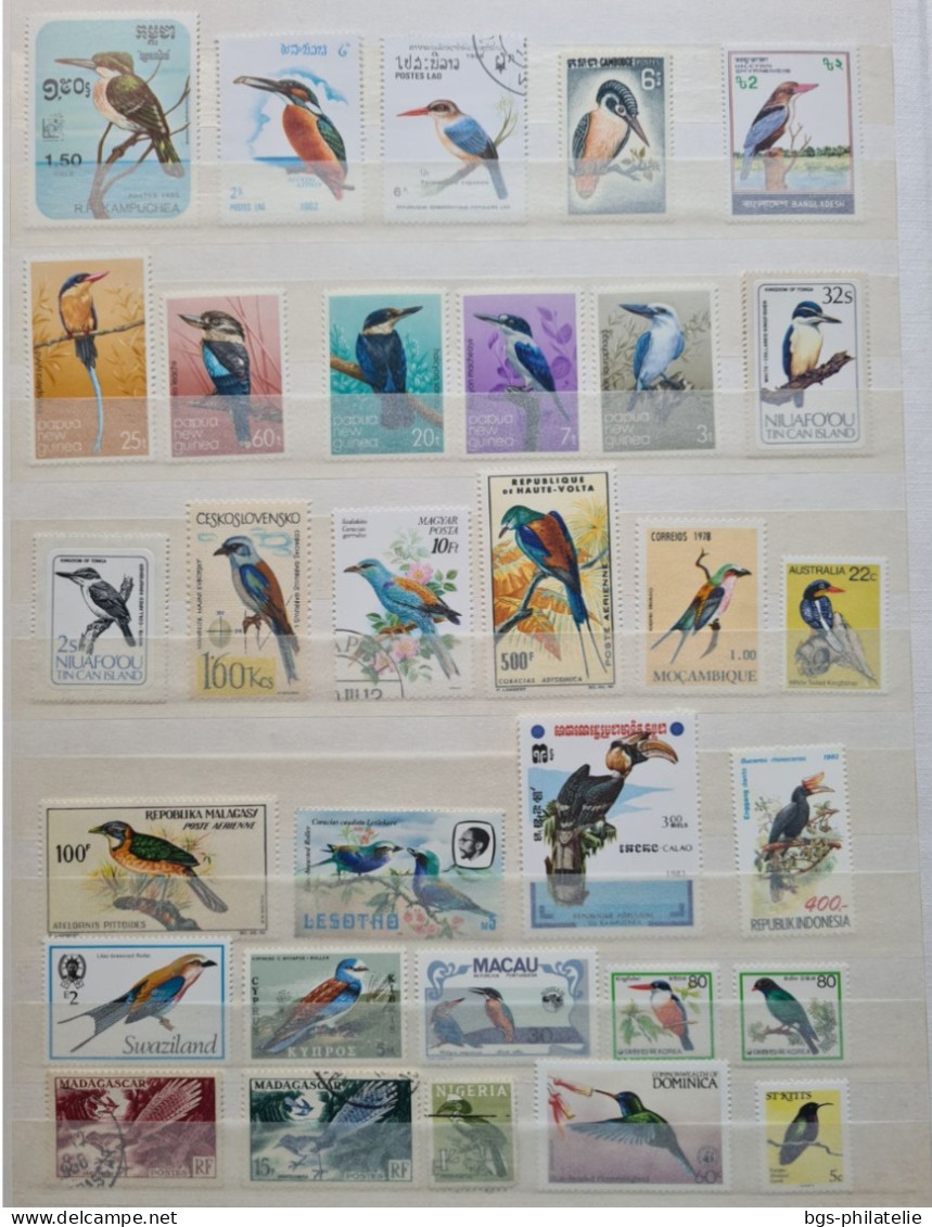 Collection de timbres sur le thème des Oiseaux.