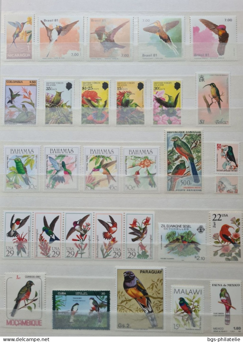 Collection de timbres sur le thème des Oiseaux.