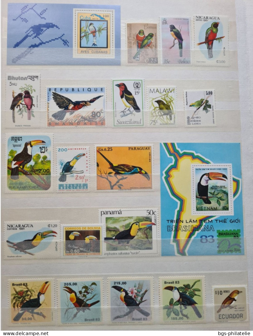 Collection de timbres sur le thème des Oiseaux.