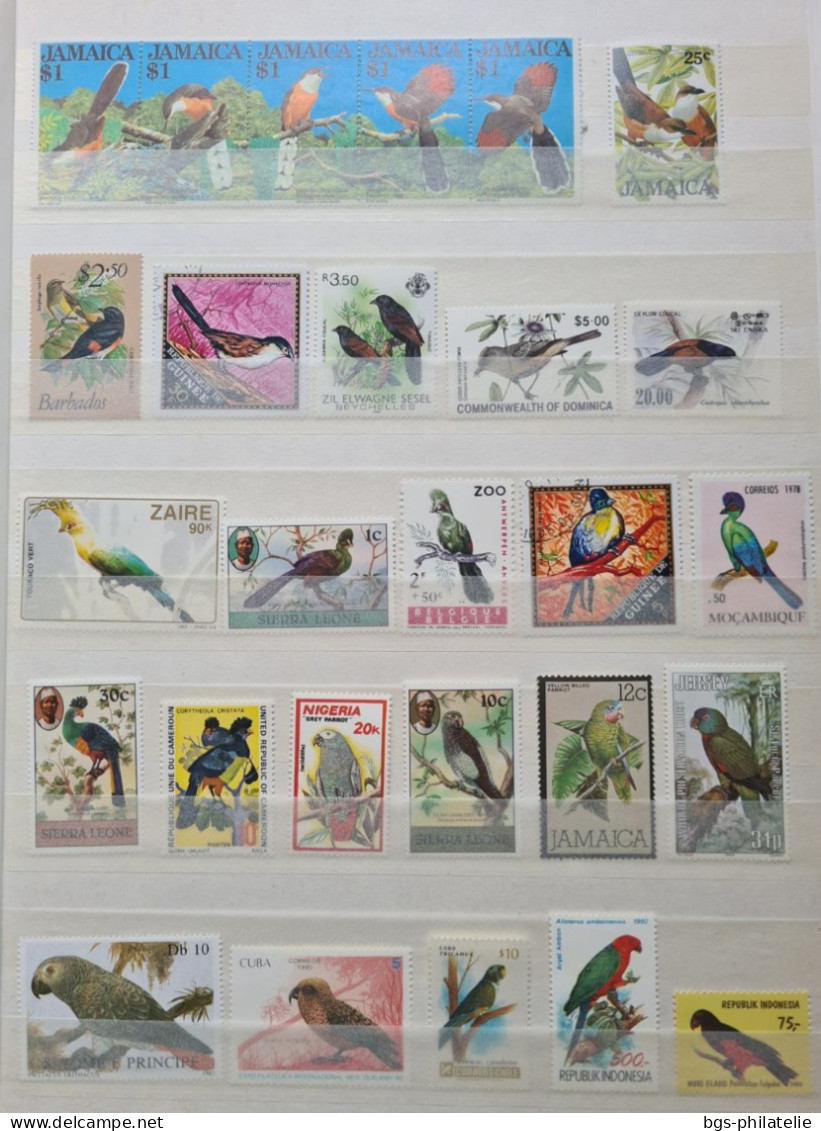 Collection de timbres sur le thème des Oiseaux.