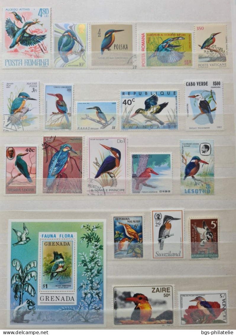 Collection de timbres sur le thème des Oiseaux.