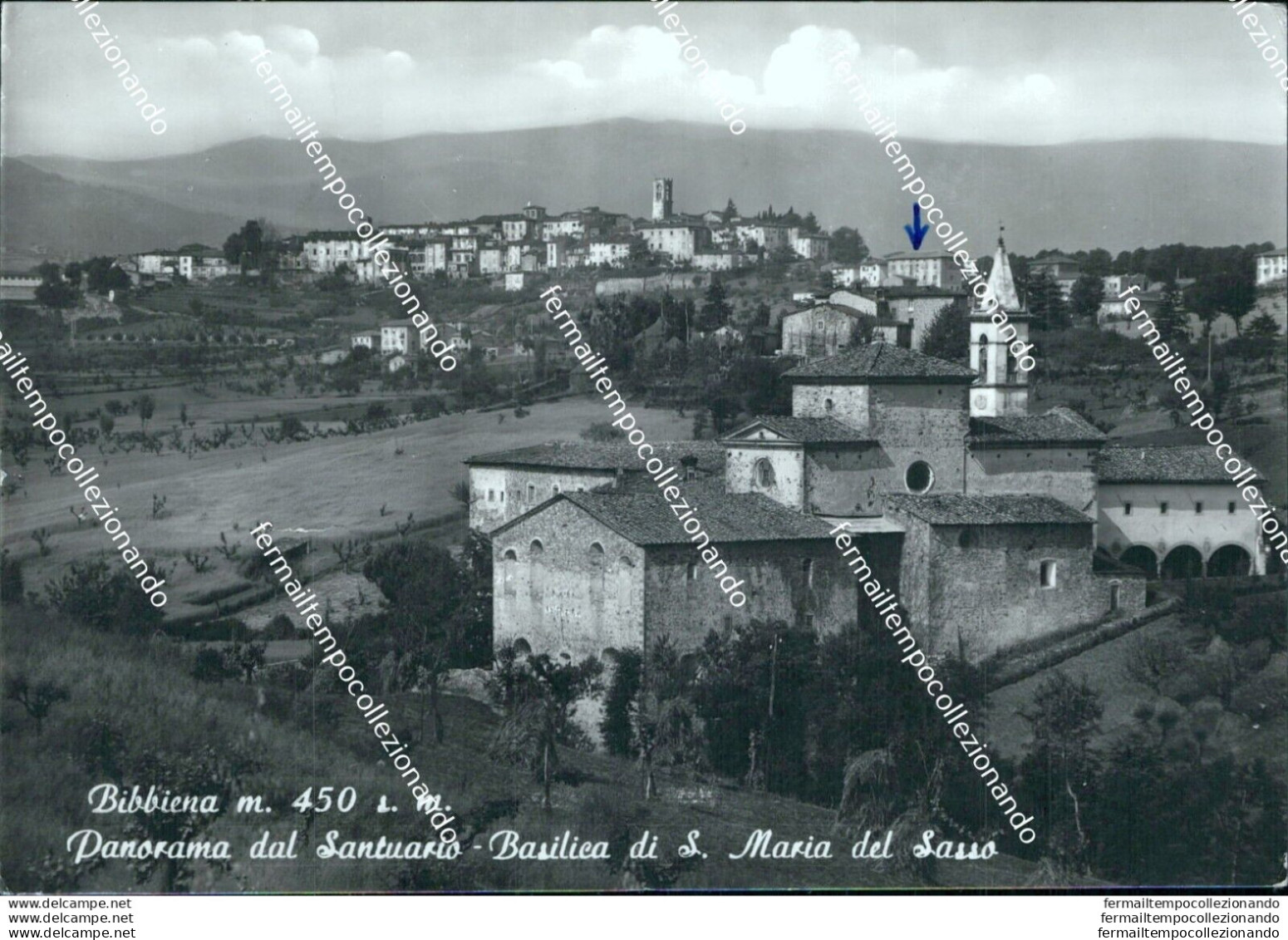 Bi207 Cartolina Bibbiena Panorama Dal Santuario Basilica Di S.maria Del Sasso - Arezzo