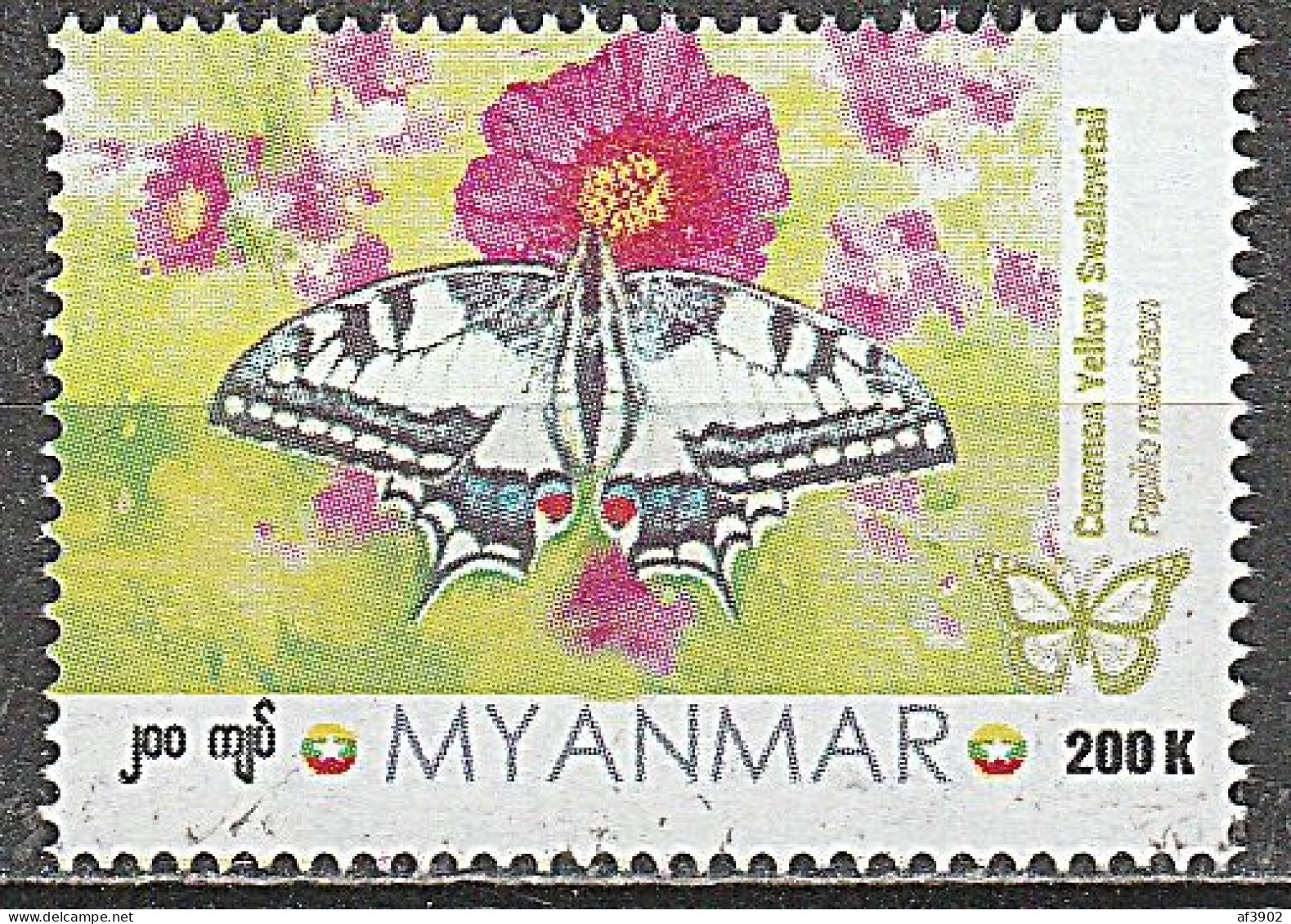 BURMA/MYANMAR STAMP 2024 ISSUED COMMON YELLOW SWALLOW BUTTERFLY SINGLE, MNH - Myanmar (Birma 1948-...)