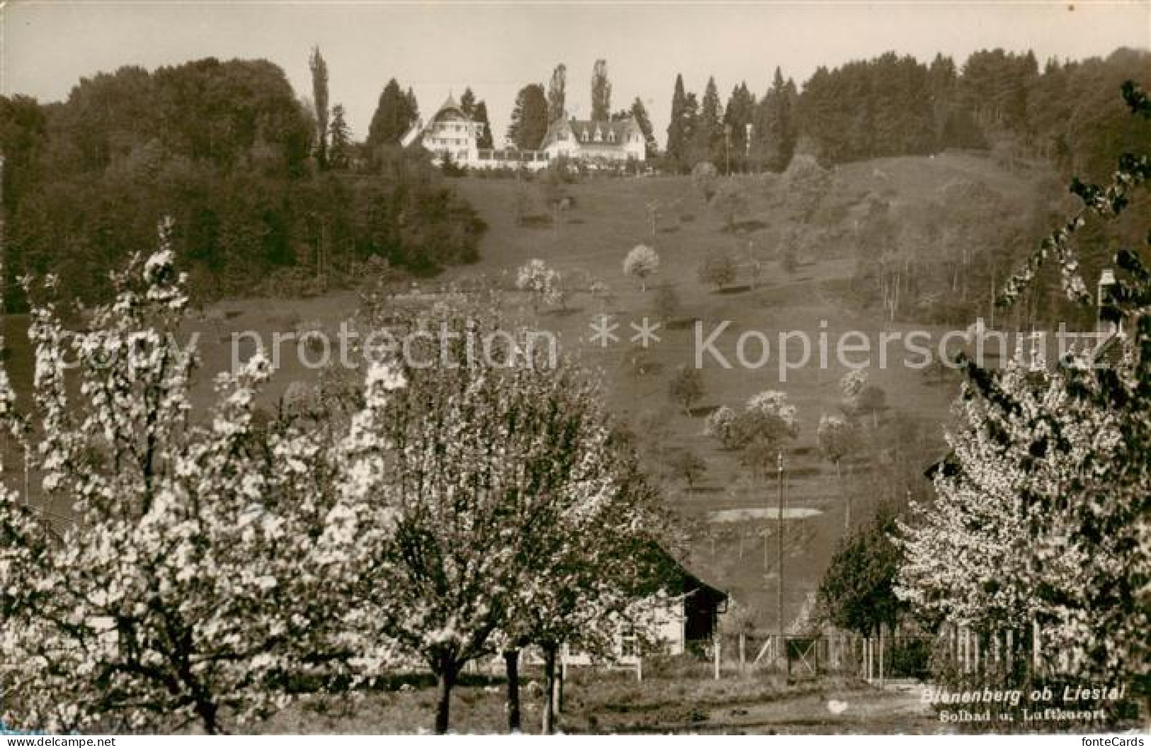 13796290 Bienenberg Solbad Und Luftkurort Kurhotel Baumbluete  - Autres & Non Classés