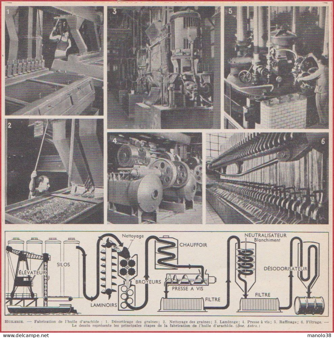 Huilerie. Fabrication De L'huile D'arachide. Les Principales étapes. Larousse 1948. - Historical Documents