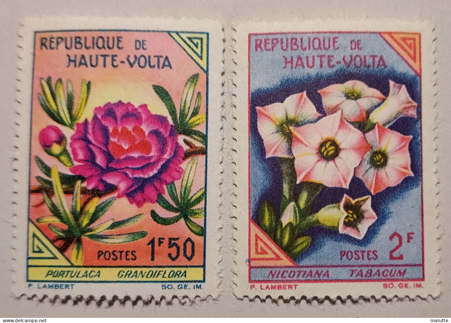 Haute Volta YT 115 Et 116 ** Fleur - Haute-Volta (1958-1984)