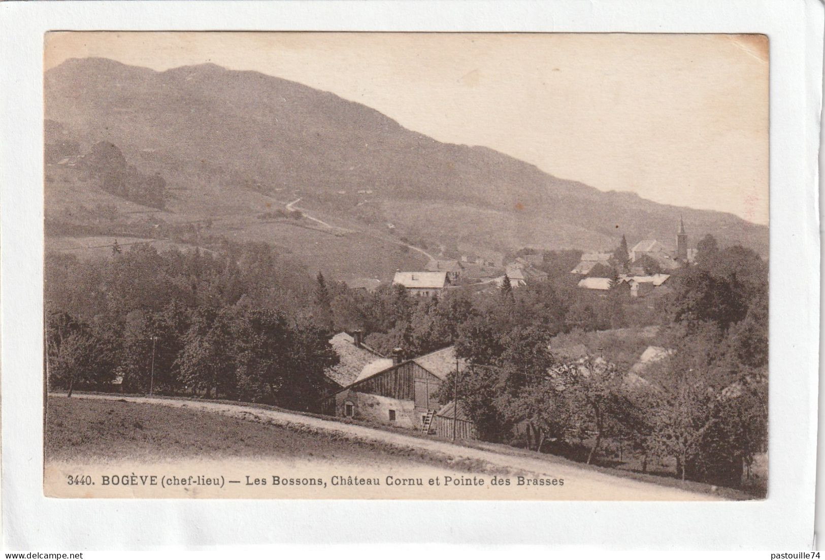 CPA :  14 X 9  -  BOËGE  -  Les Bossons, Château Cornu Et Pointe Des Brasses - Boëge