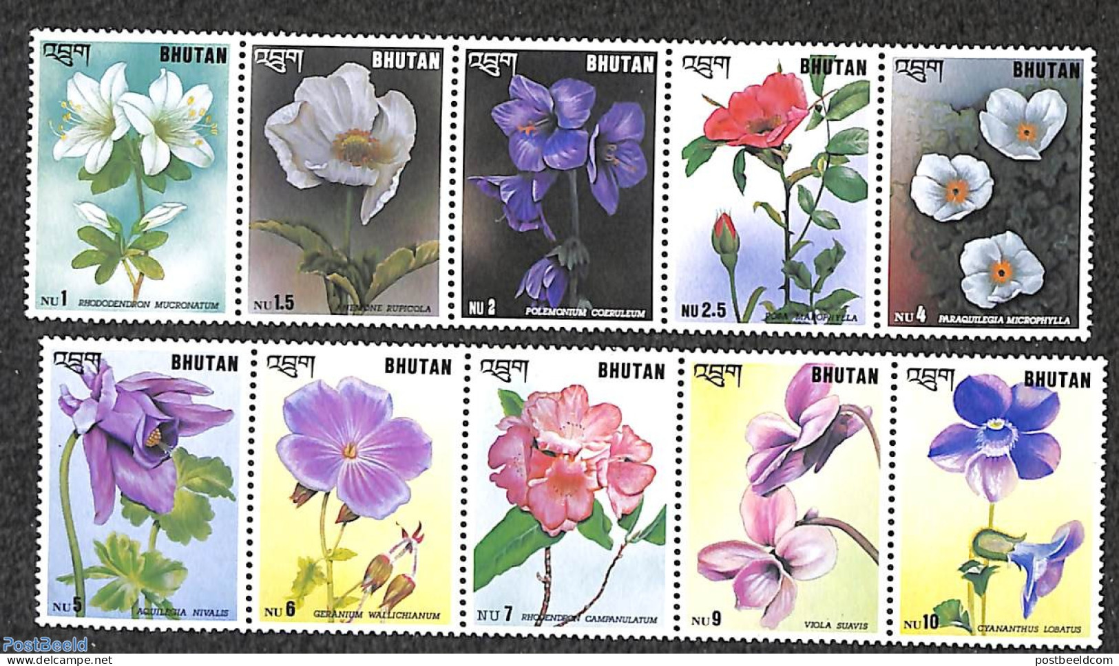 Bhutan 1994 Flowers 10v , Mint NH, Nature - Flowers & Plants - Bhoutan