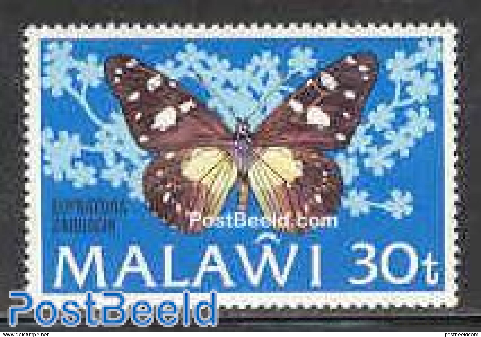 Malawi 1973 ERROR 30T Euphaedra Zaddachi 1v, Mint NH, Nature - Various - Butterflies - Errors, Misprints, Plate Flaws - Erreurs Sur Timbres