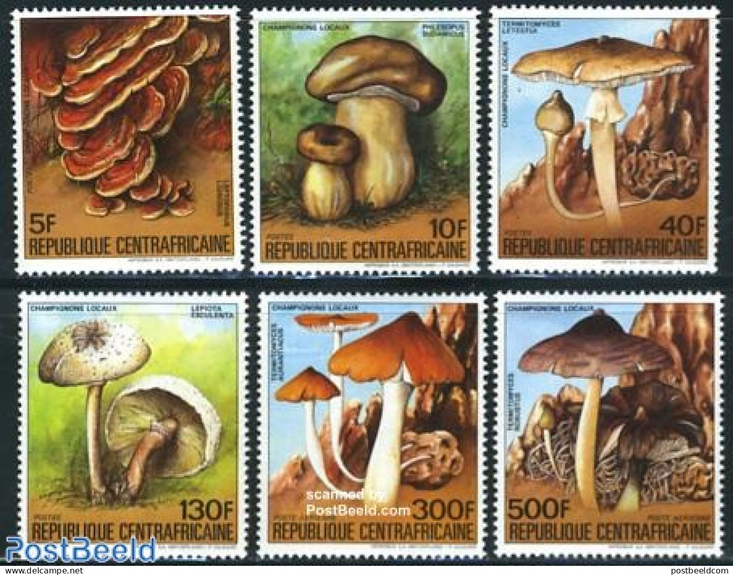 Central Africa 1984 Mushrooms 6v, Mint NH, Nature - Mushrooms - Champignons