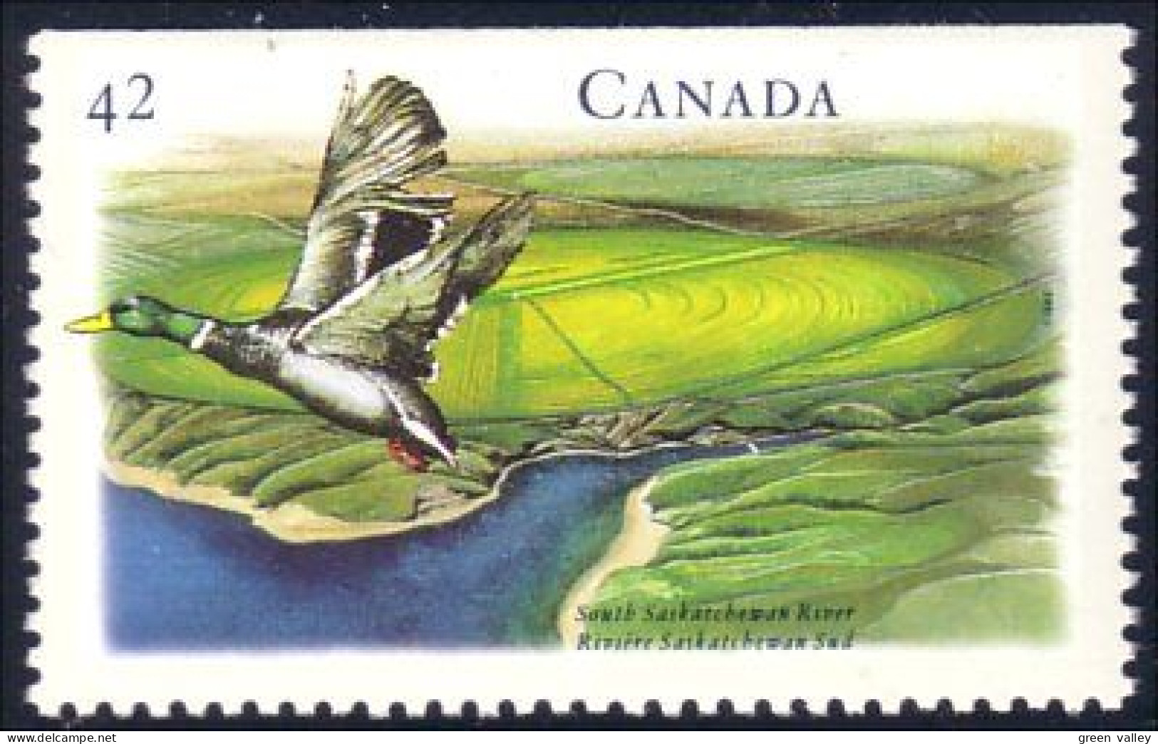 Canada Canard Duck Saskatchewan River MNH ** Neuf SC (C14-12ha) - Ongebruikt