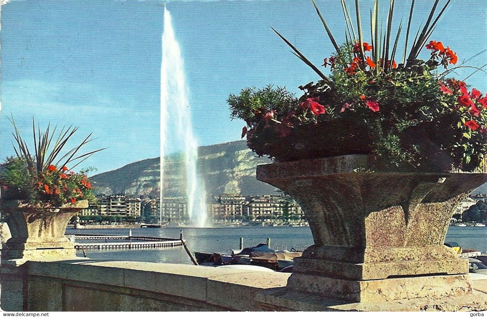 *CPM - SUISSE - GENEVE - Le Jet D'Eau - Genève