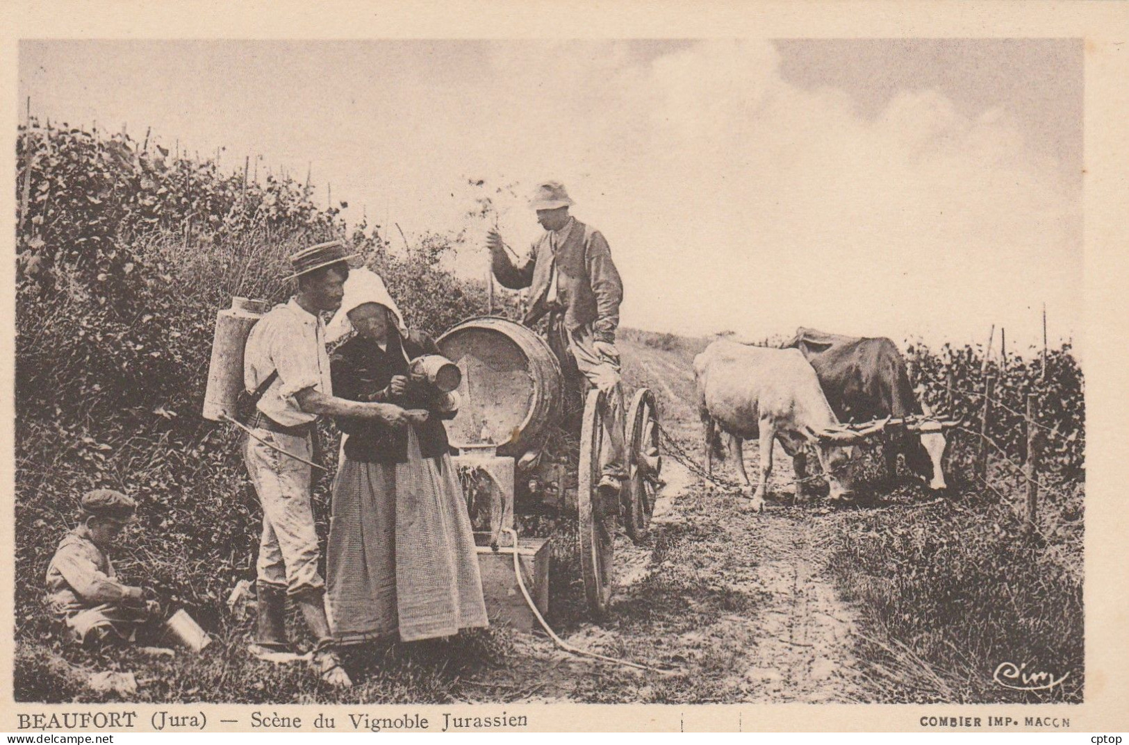 Beaufort , Scène Du Vignoble Jurassien - Beaufort