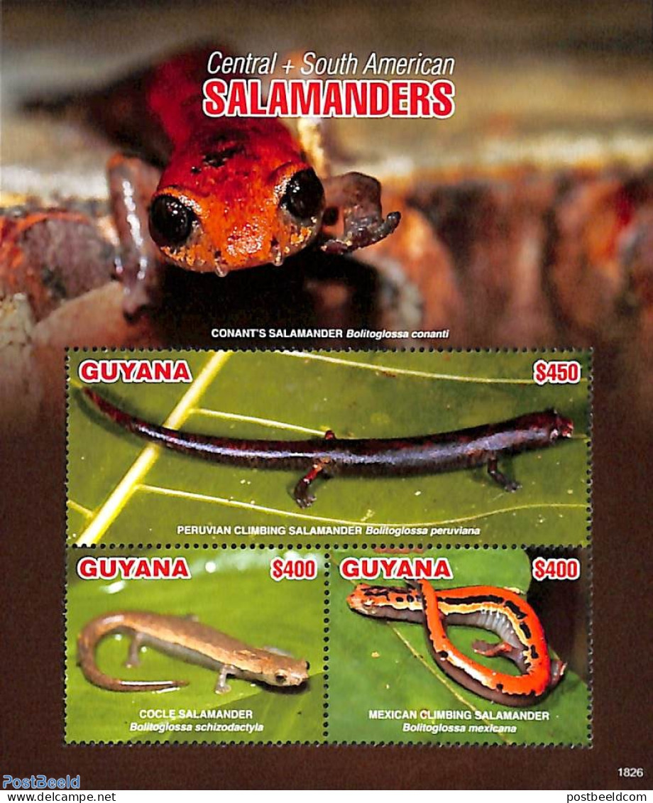 Guyana 2018 Salamanders 3v M/s, Mint NH, Nature - Animals (others & Mixed) - Reptiles - Guyana (1966-...)
