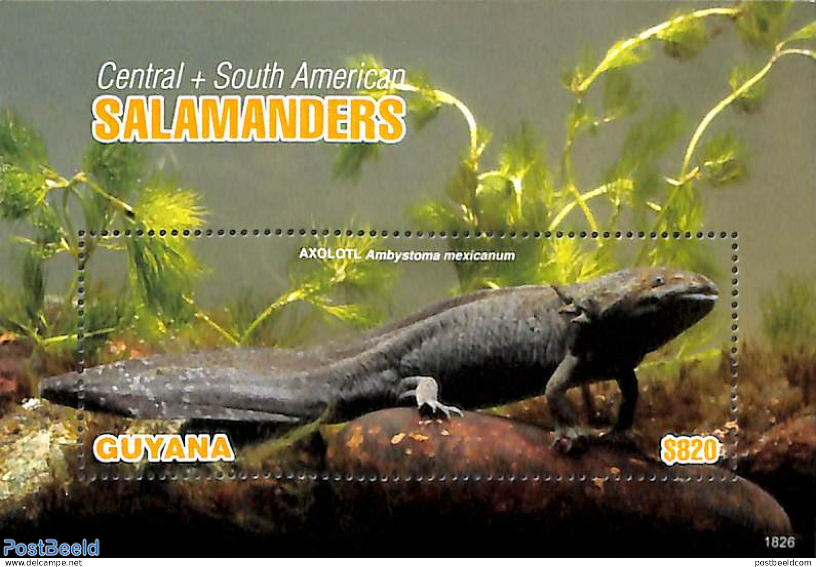 Guyana 2018 Salamanders S/s, Mint NH, Nature - Animals (others & Mixed) - Reptiles - Guiana (1966-...)