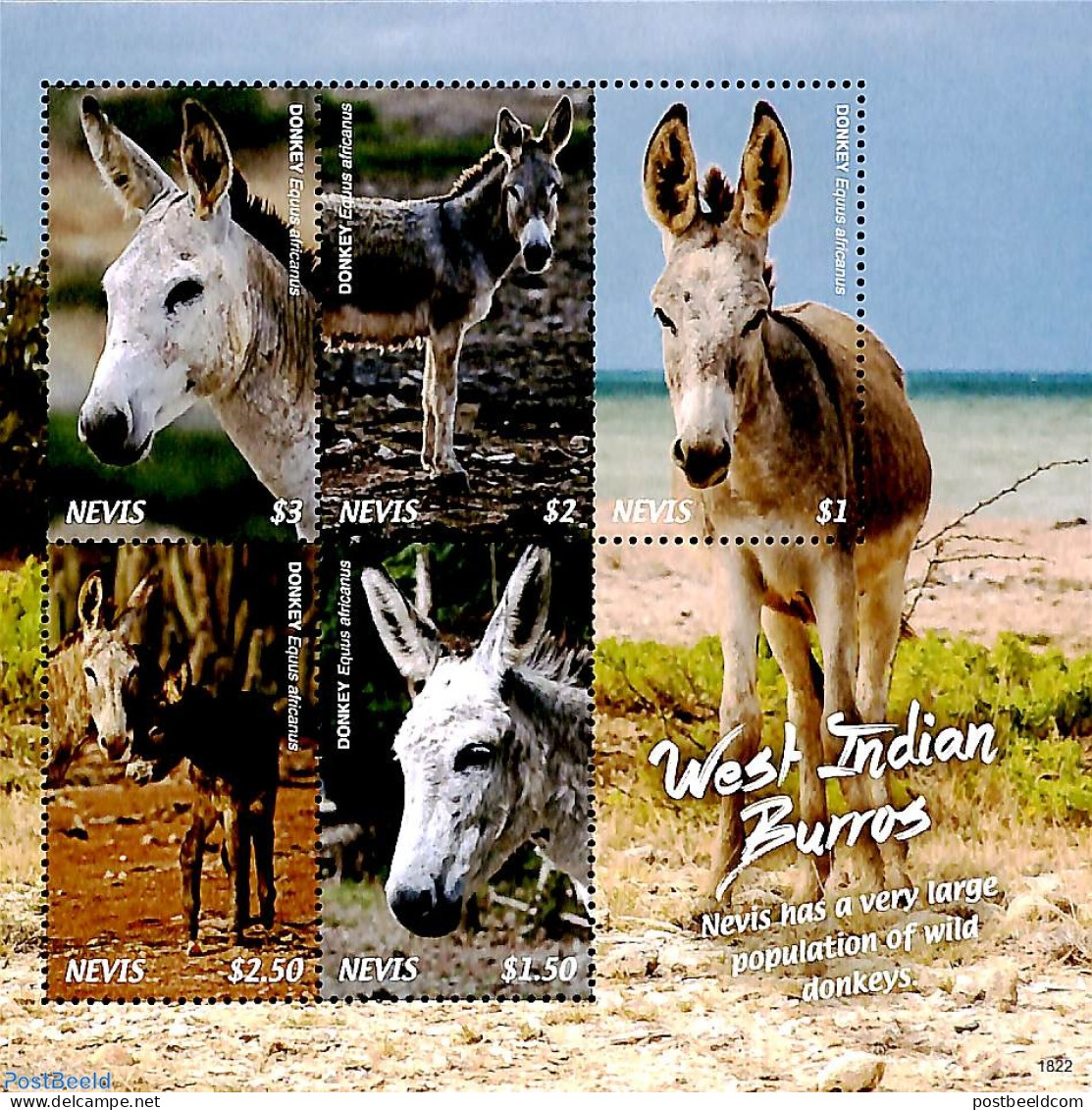 Nevis 2018 West Indian Burros 5v M/s, Mint NH, Nature - Animals (others & Mixed) - St.Kitts En Nevis ( 1983-...)