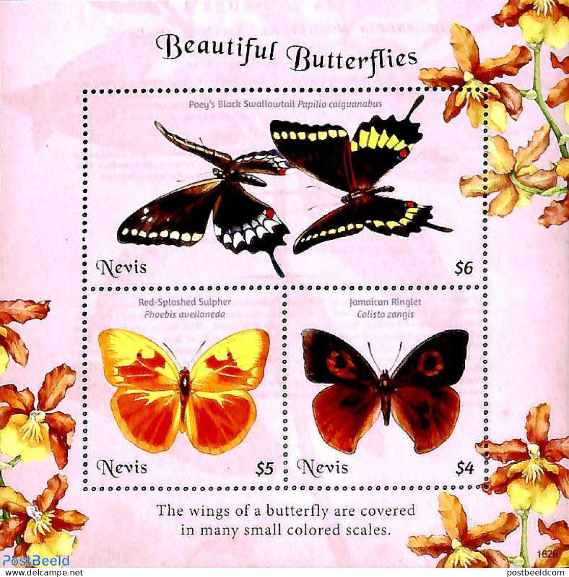 Nevis 2018 Butterflies 3v M/s, Mint NH, Nature - Butterflies - St.Kitts Y Nevis ( 1983-...)