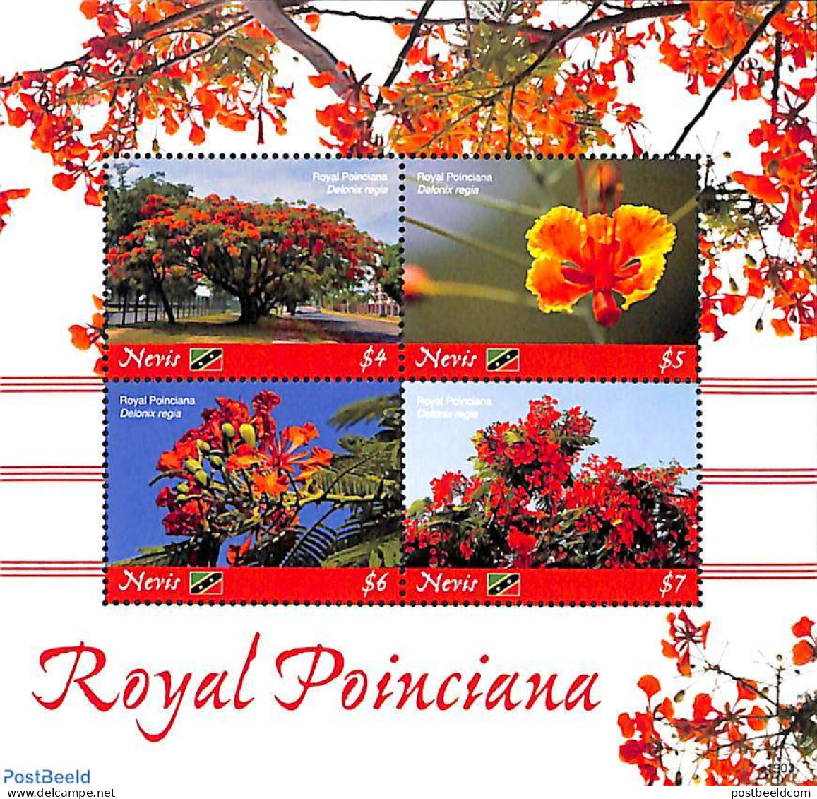 Nevis 2019 Royal Poinciana 4v M/s, Mint NH, Nature - Flowers & Plants - Trees & Forests - Rotary Club