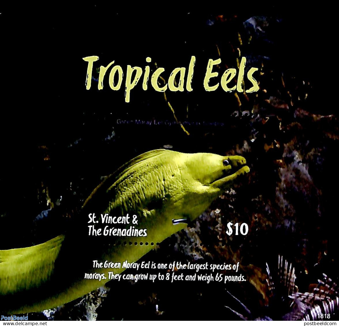 Saint Vincent 2018 Tropical Eels S/s, Mint NH, Nature - Animals (others & Mixed) - Fish - Poissons