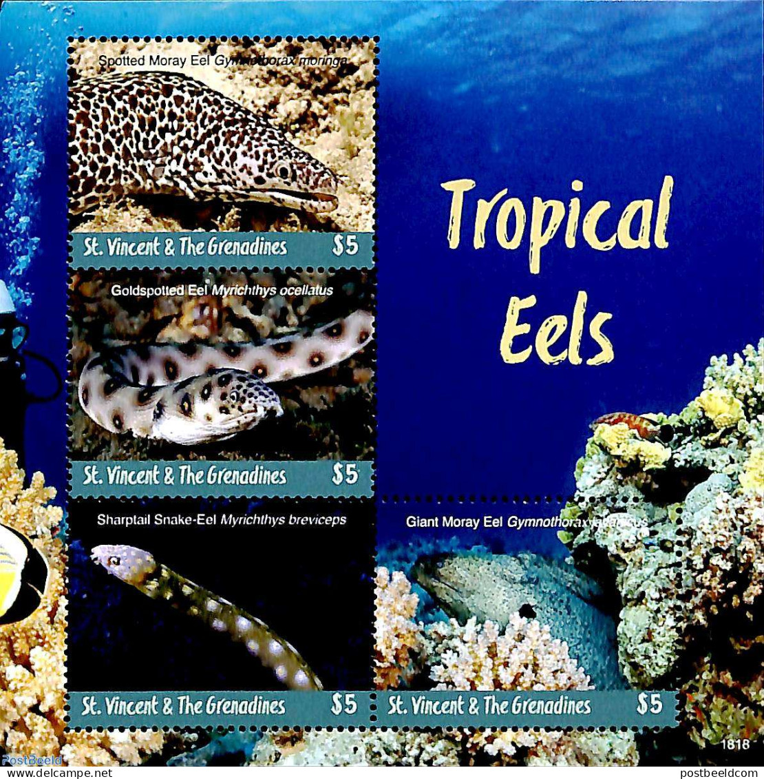 Saint Vincent 2018 Tropical Eels 4v M/s, Mint NH, Nature - Fish - Pesci