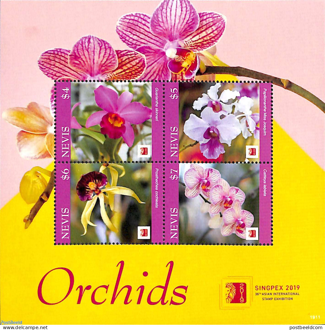 Nevis 2019 Orchids 4v M/s, Mint NH, Nature - Flowers & Plants - Orchids - St.Kitts Und Nevis ( 1983-...)