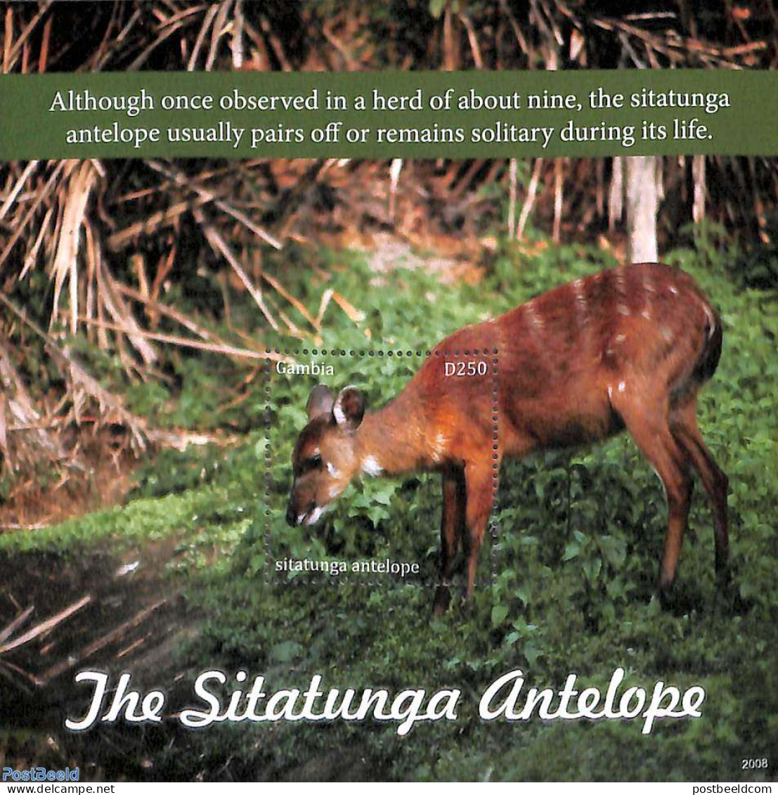 Gambia 2020 The Sitatunga Antelope S/s, Mint NH, Nature - Animals (others & Mixed) - Wild Mammals - Gambia (...-1964)