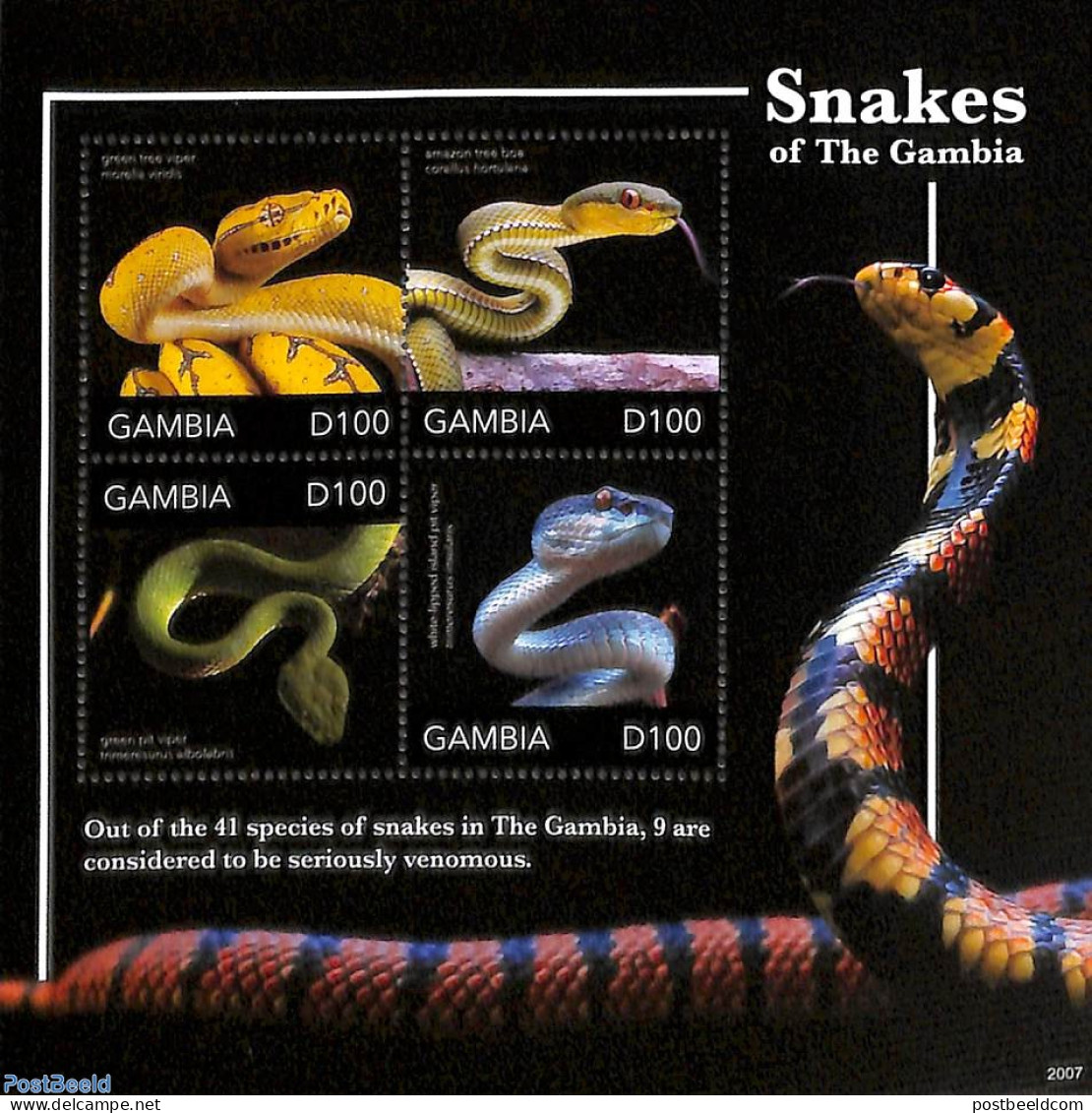 Gambia 2020 Snakes 4v M/s, Mint NH, Nature - Reptiles - Snakes - Gambia (...-1964)