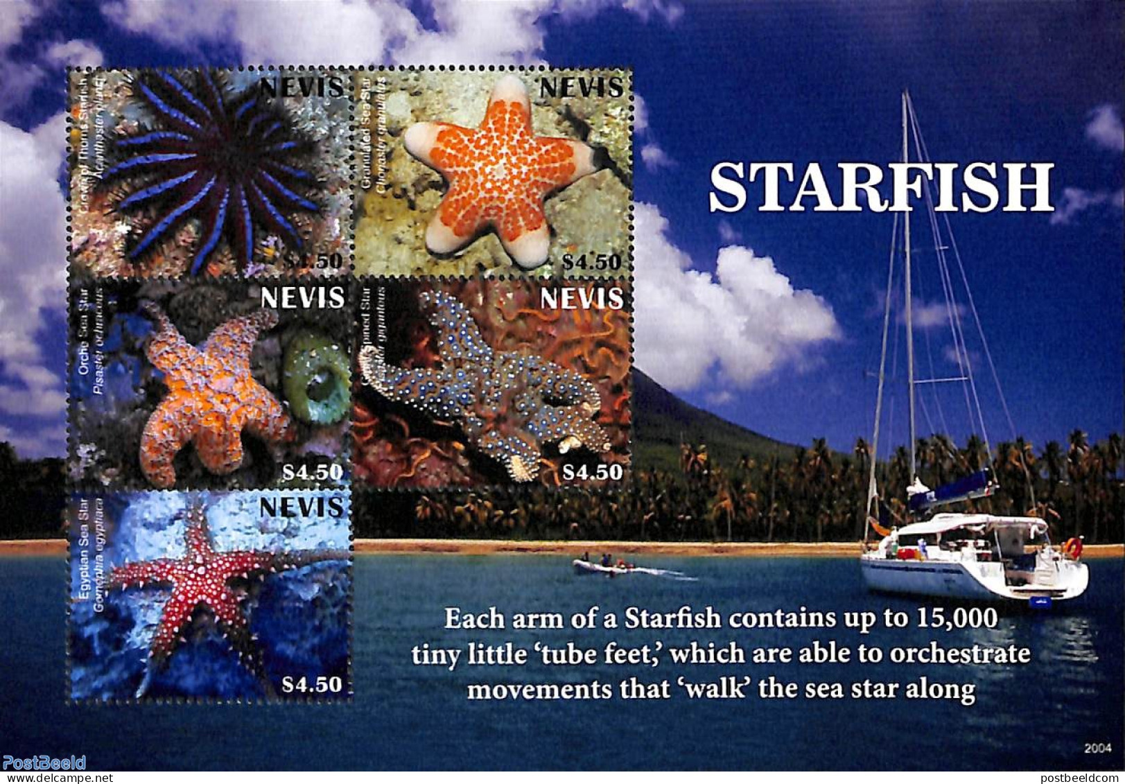 Nevis 2020 Starfish 5v M/s, Mint NH, Nature - Transport - Fish - Ships And Boats - Poissons