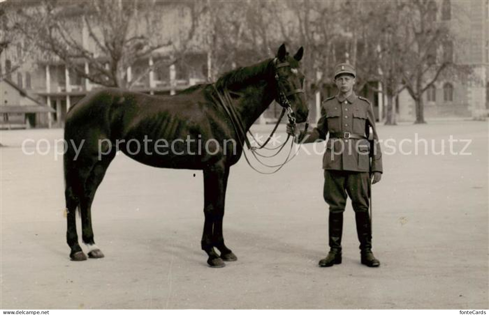 13794473 Aarau AG Soldat M. Pferd Aarau AG - Autres & Non Classés