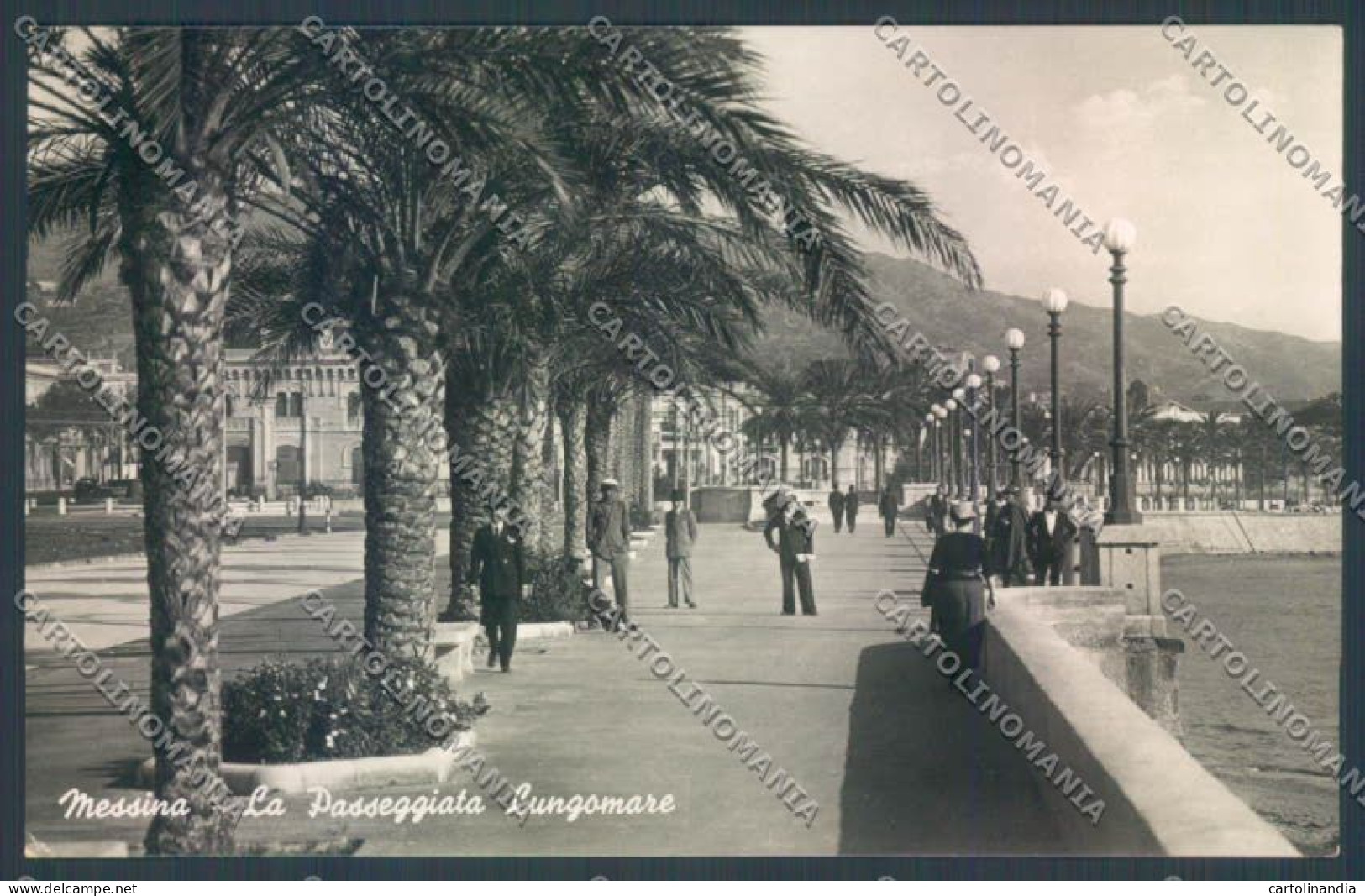 Messina Città Foto Cartolina ZB9631 - Messina