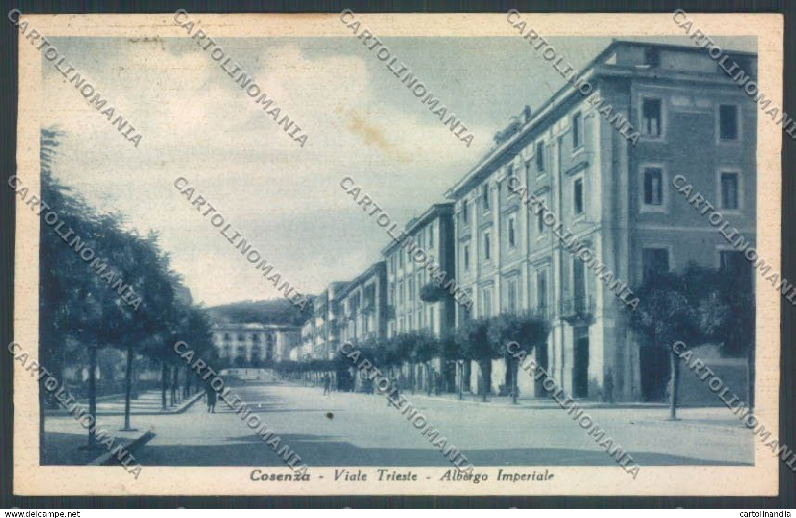 Cosenza Città Viale Trieste Cartolina ZB9070 - Cosenza