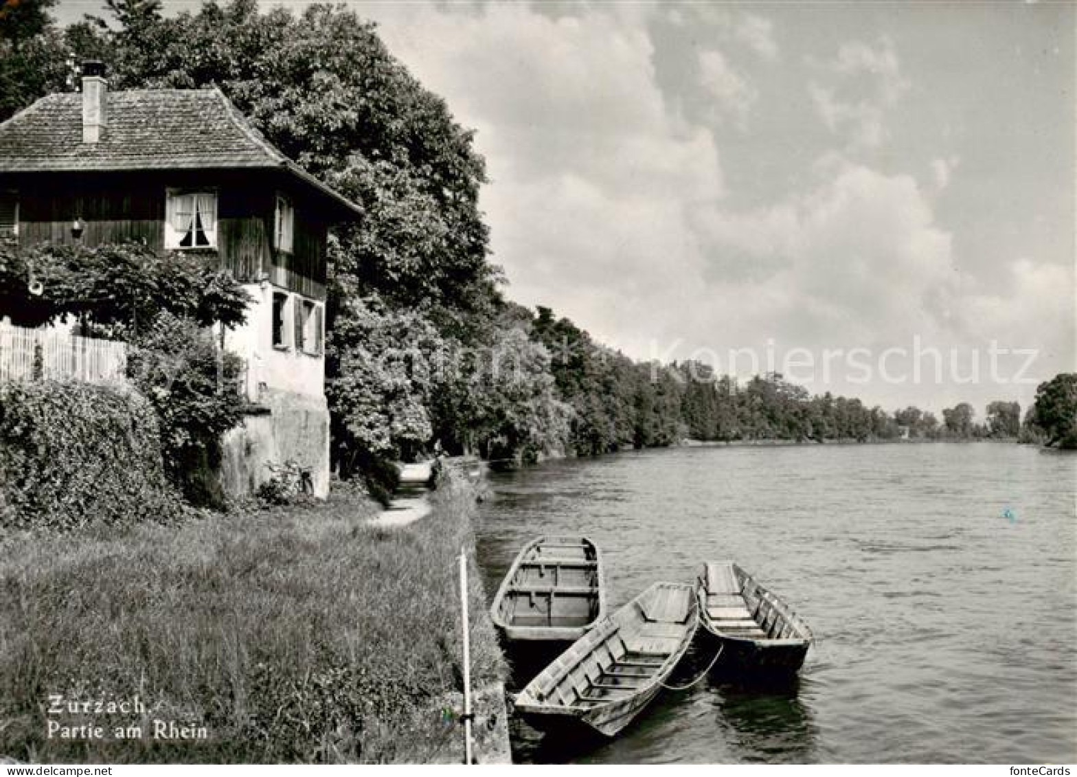 13794292 Zurzach Partie Am Rhein Zurzach - Autres & Non Classés