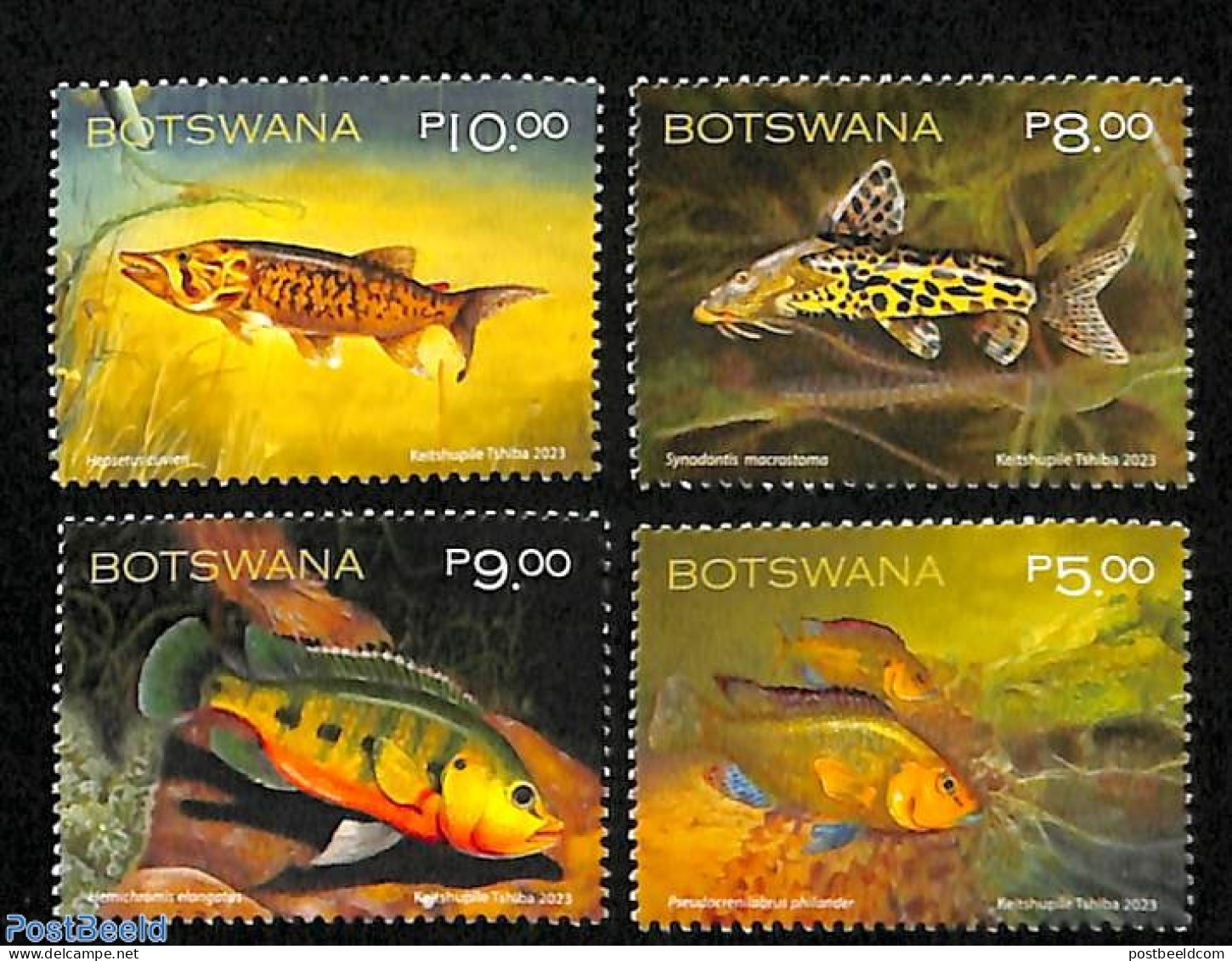 Botswana 2023 Fish 4v, Mint NH, Nature - Fish - Poissons