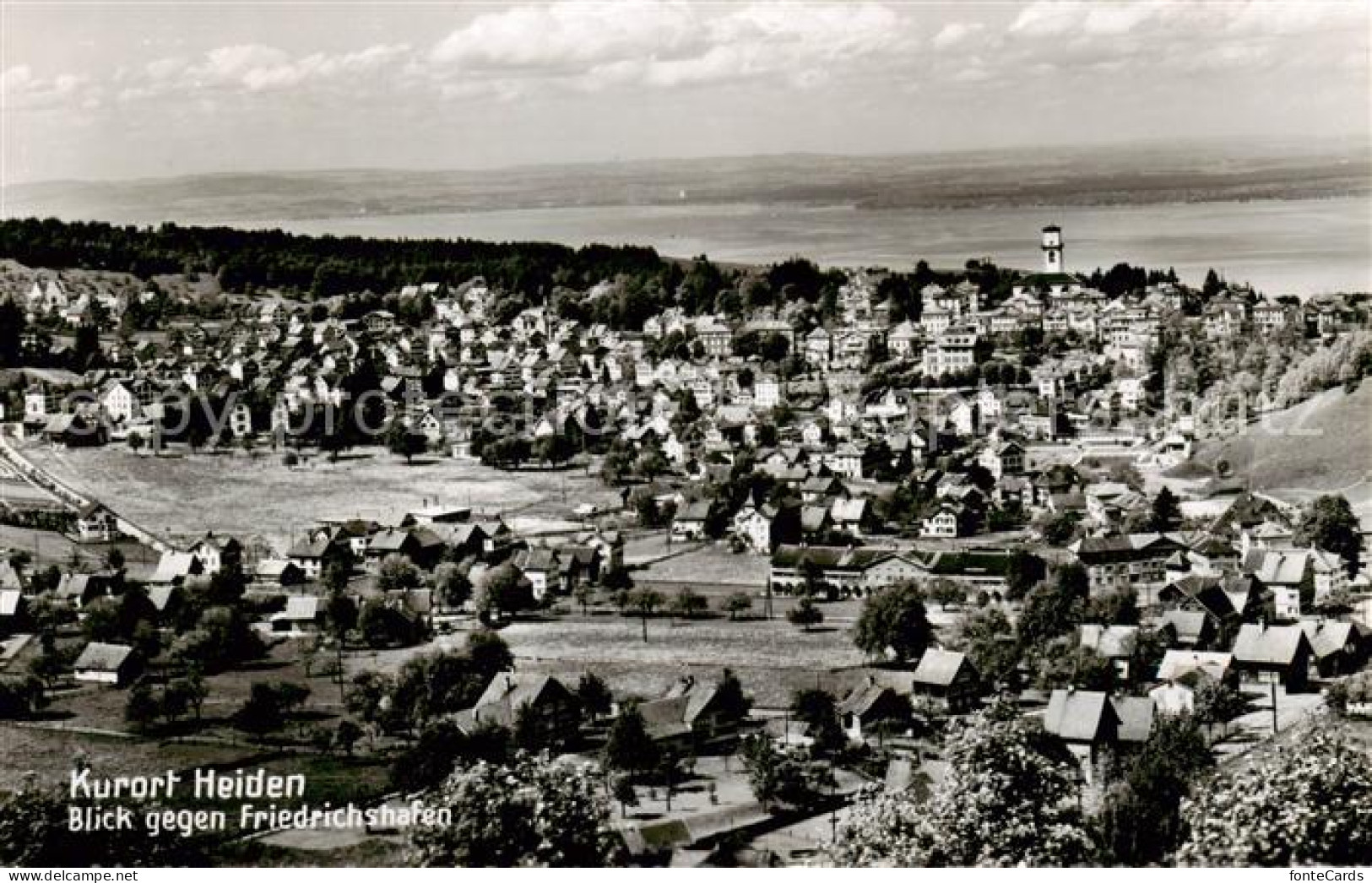 13793973 Heiden AR Panorama M. Friedrichshafen Heiden AR - Autres & Non Classés