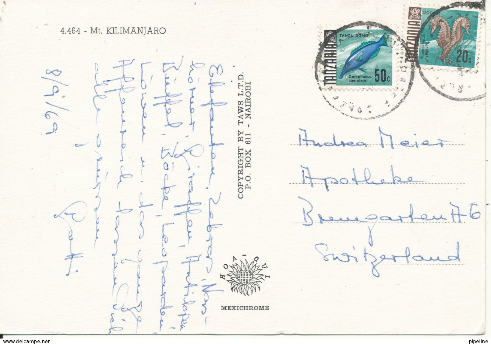 Tanzania Postcard Sent To Switzerland 8-9-1969 (Elephant And Mt. Kilimanjaro) - Tanzanía