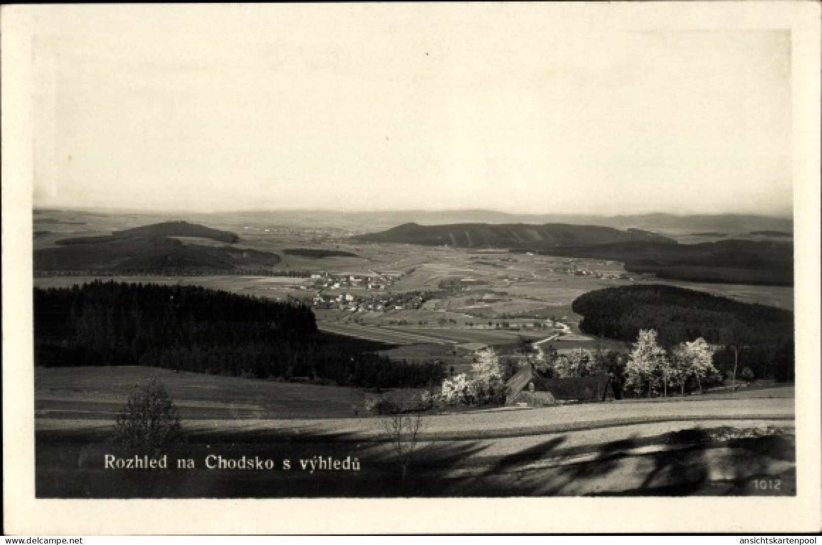 CPA Chodsko Domažlice Taus Region Pilsen, Panorama - Tchéquie