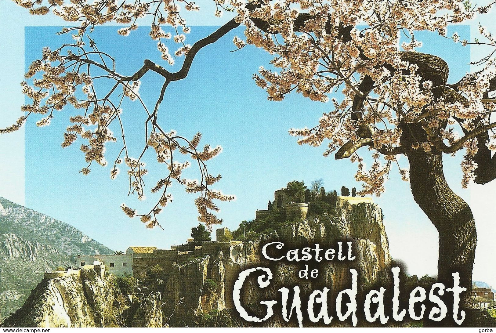 *CPM  - ESPAGNE - COMUNIDAD VALENCIANA - Le Château De GUADALEST - Alicante