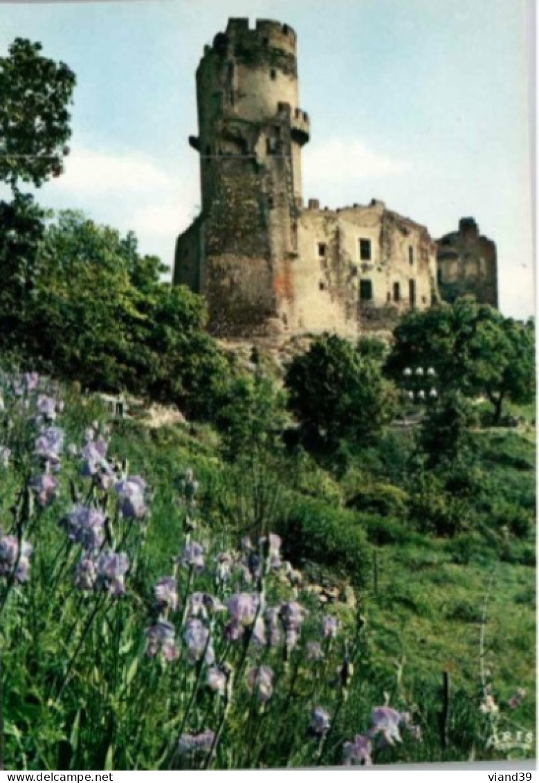 VOLVIC. -   Chateau De Tournoel  XIIe Et XIVe    Non Circulée. - Volvic