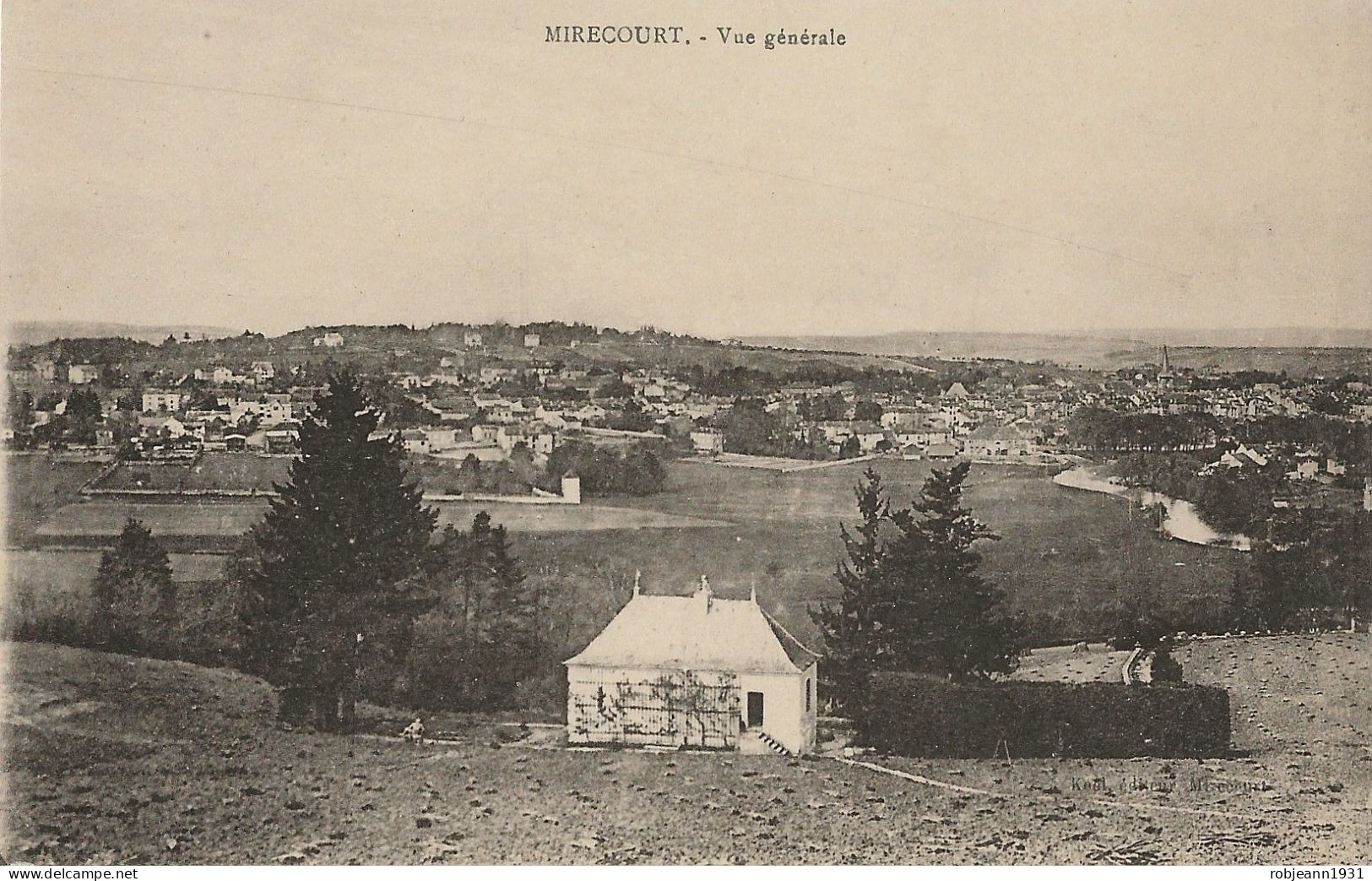 Mirecourt (88500) Vue Générale - Mirecourt