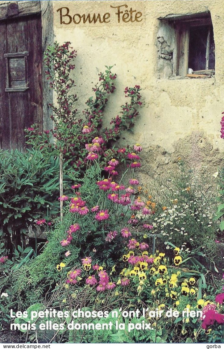 *CPM - Jardin Fleuri - Bonne Fête - Autres & Non Classés