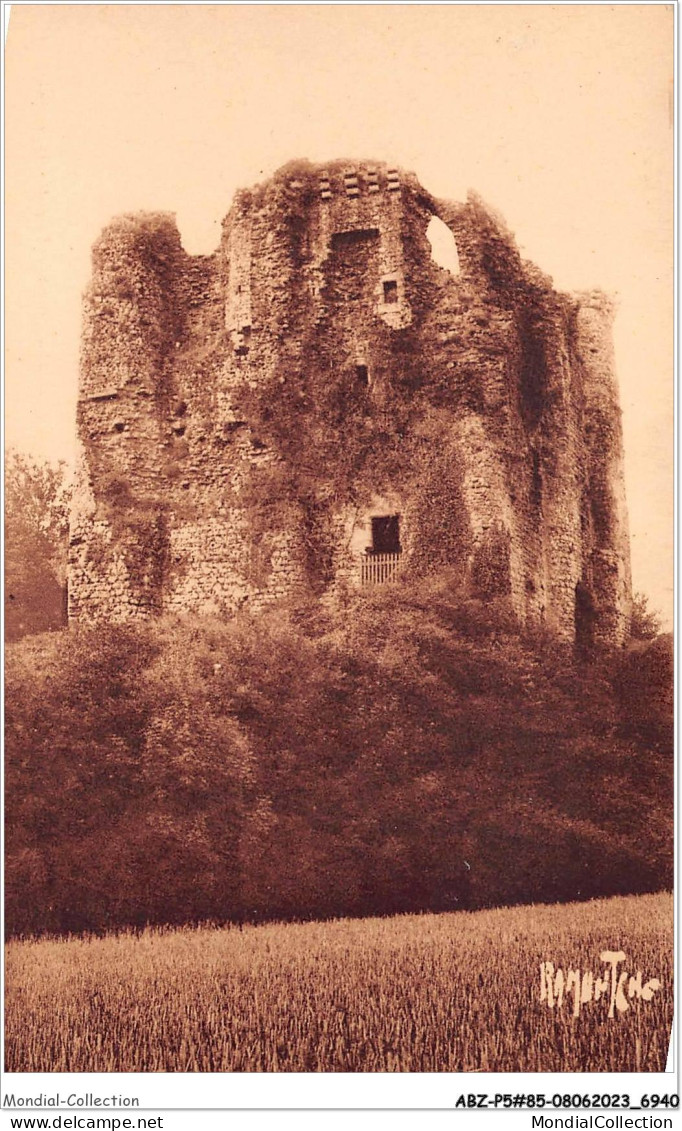 ABZP5-85-0417 - POUZAUGES - Vieux Chateau  - Pouzauges