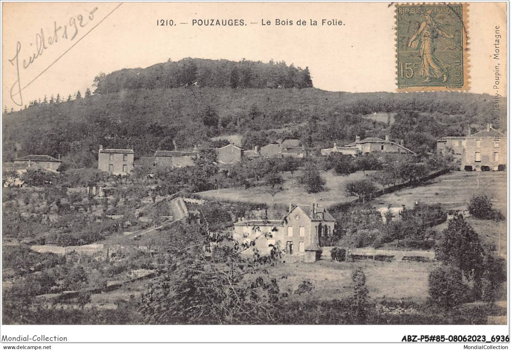 ABZP5-85-0415 - POUZAUGES - Le Bois De La Folie  - Pouzauges